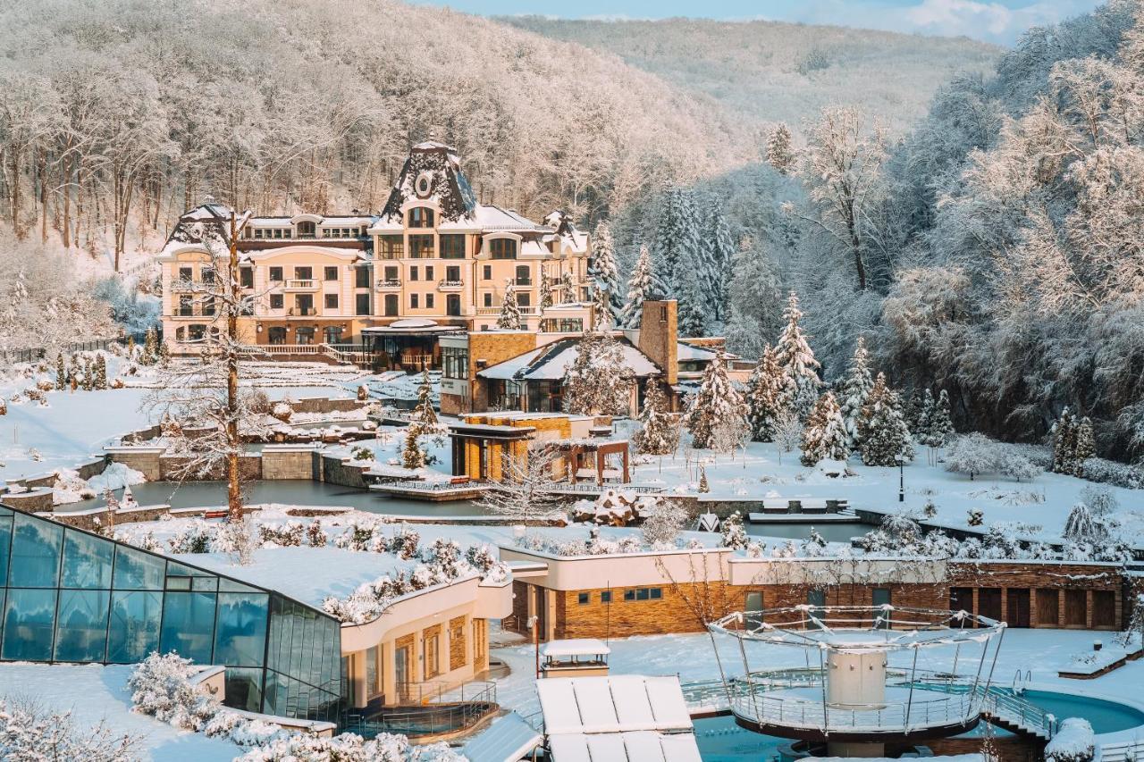 Hotel Irys By Derenivska Kupil Nyzhne Solotvyno Exterior foto